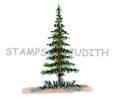 E-282-HK Sm. Pine Tree
